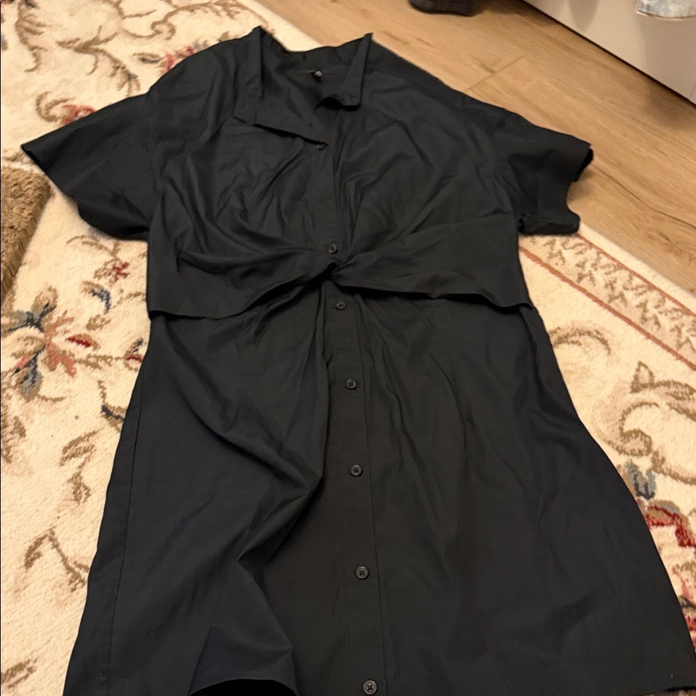 Rag and Bone Button Up Dress (Gretchen Twist Poplin)